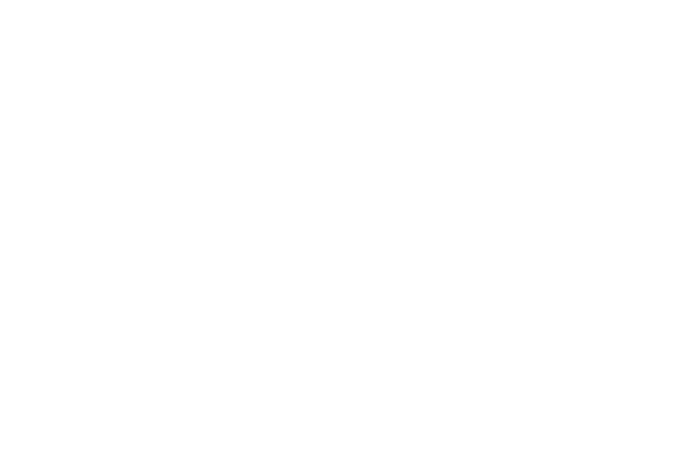 Olivier VINCENT Olivier VINCENT